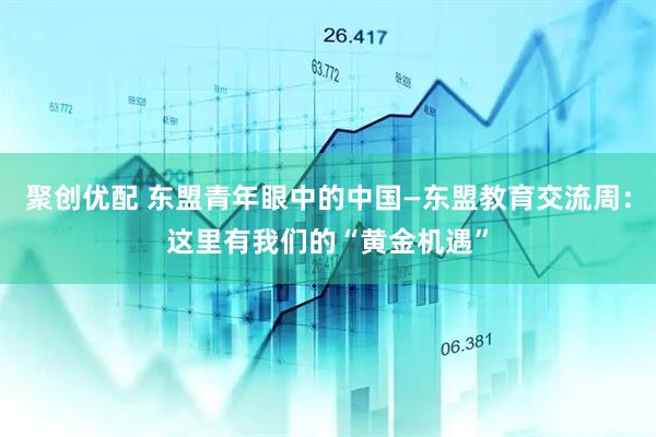 聚创优配 东盟青年眼中的中国—东盟教育交流周：这里有我们的“黄金机遇”