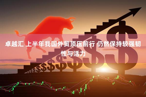 卓越汇 上半年我国外贸顶压前行 仍然保持较强韧性与活力