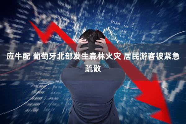 应牛配 葡萄牙北部发生森林火灾 居民游客被紧急疏散
