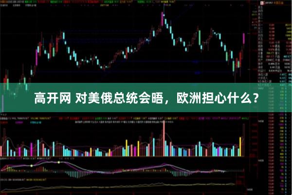 高开网 对美俄总统会晤，欧洲担心什么？