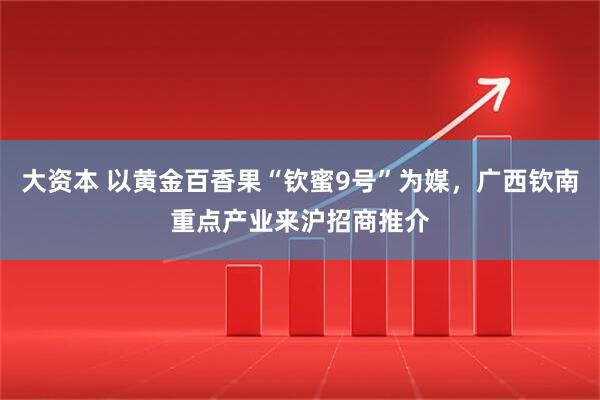 大资本 以黄金百香果“钦蜜9号”为媒，广西钦南重点产业来沪招商推介