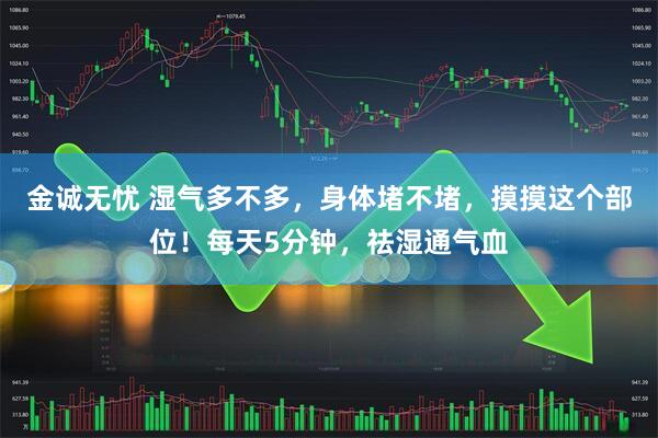 金诚无忧 湿气多不多，身体堵不堵，摸摸这个部位！每天5分钟，祛湿通气血