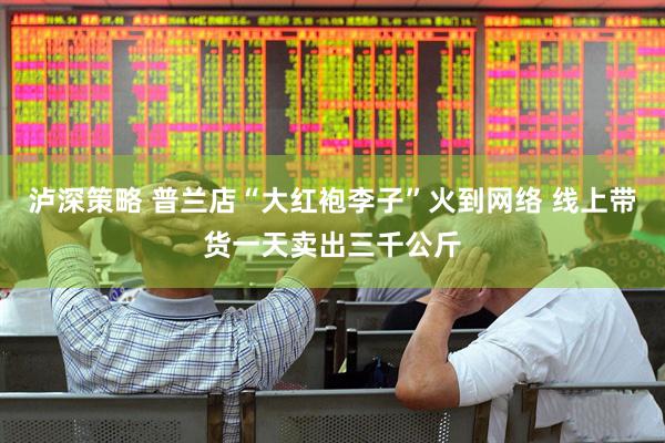 泸深策略 普兰店“大红袍李子”火到网络 线上带货一天卖出三千公斤