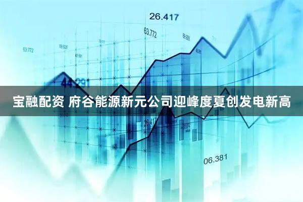 宝融配资 府谷能源新元公司迎峰度夏创发电新高