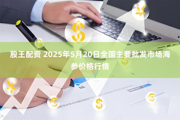 股王配资 2025年5月20日全国主要批发市场海参价格行情