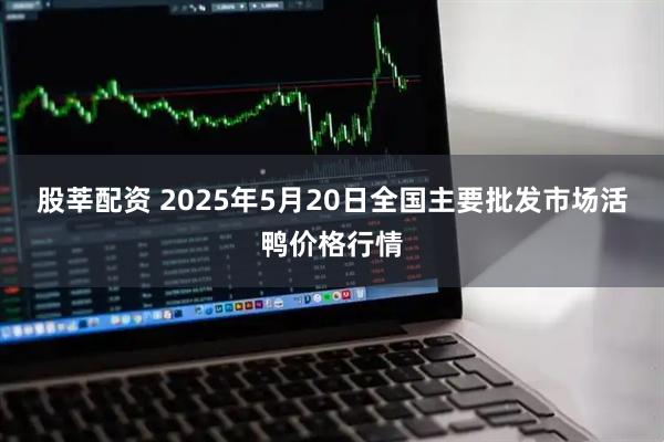股莘配资 2025年5月20日全国主要批发市场活鸭价格行情