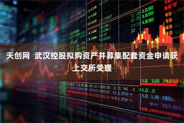 天创网  武汉控股拟购资产并募集配套资金申请获上交所受理