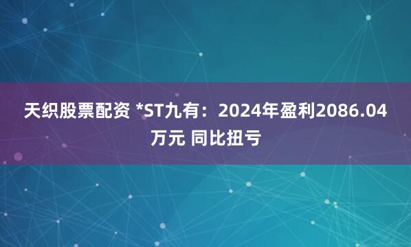 天织股票配资 *ST九有：2024年盈利2086.04万元 同比扭亏
